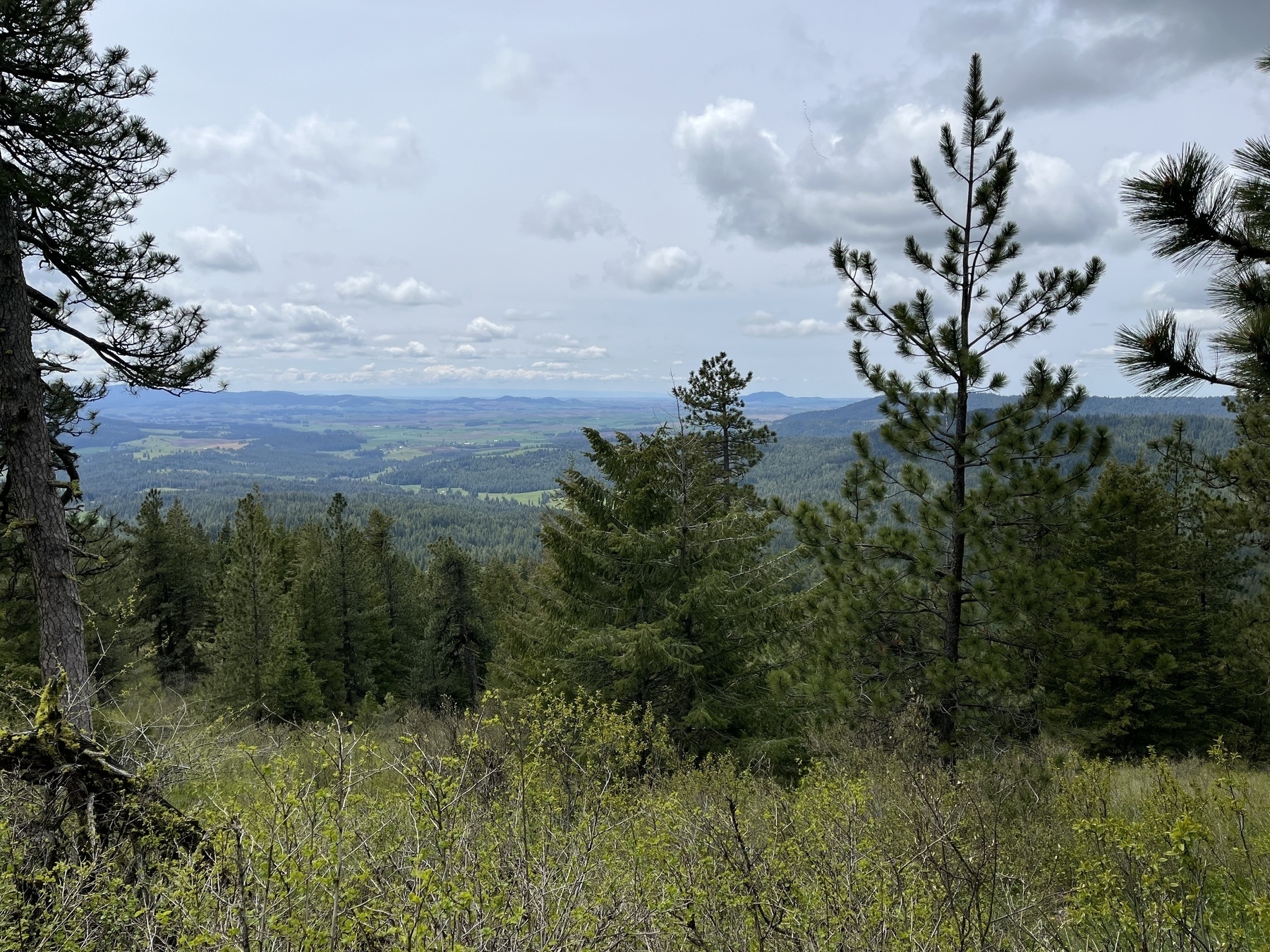 view from McCroskey Park